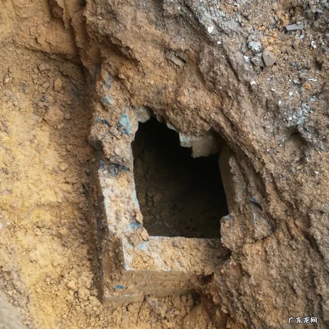 横县南乡镇最新消息 广西横县风水大地