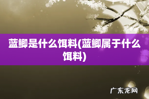 蓝鲫属于什么饵料 蓝鲫是什么饵料
