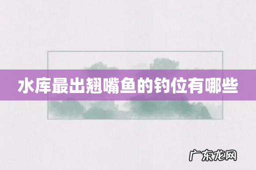 水库最出翘嘴鱼的钓位有哪些