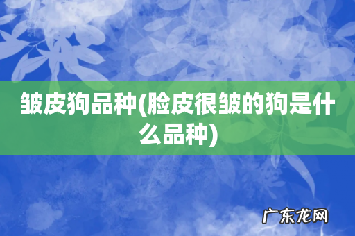 脸皮很皱的狗是什么品种 皱皮狗品种