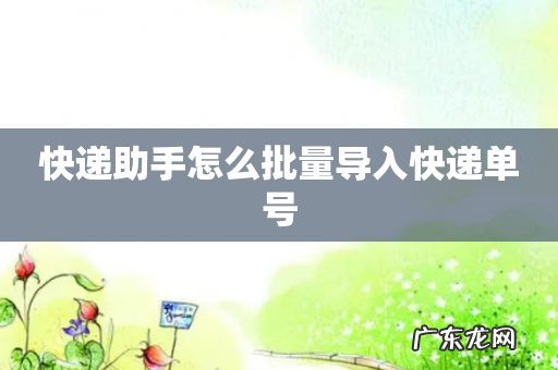 快递助手怎么批量导入快递单号