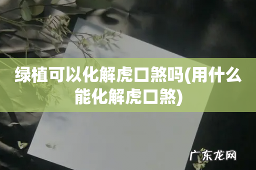 用什么能化解虎口煞 绿植可以化解虎口煞吗