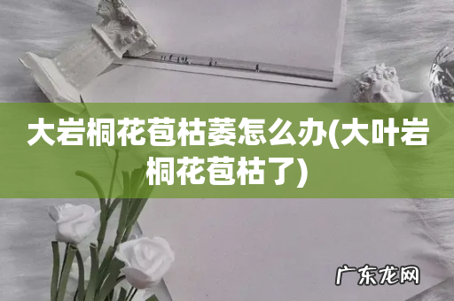 大叶岩桐花苞枯了 大岩桐花苞枯萎怎么办