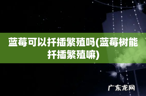 蓝莓树能扦插繁殖嘛 蓝莓可以扦插繁殖吗