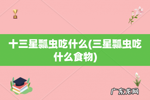 三星瓢虫吃什么食物 十三星瓢虫吃什么