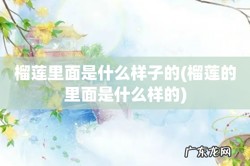 榴莲的里面是什么样的 榴莲里面是什么样子的