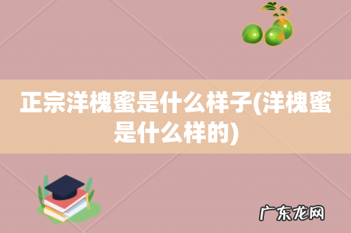 洋槐蜜是什么样的 正宗洋槐蜜是什么样子