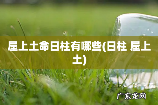 日柱 屋上土 屋上土命日柱有哪些