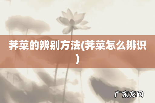 荠菜怎么辨识 荠菜的辨别方法