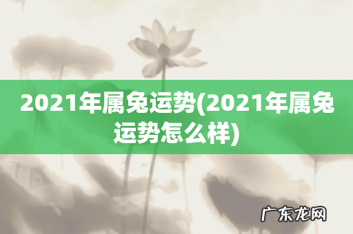 2021年属兔运势怎么样 2021年属兔运势