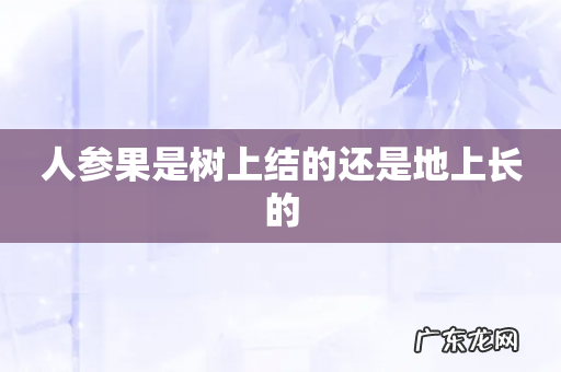 人参果是树上结的还是地上长的