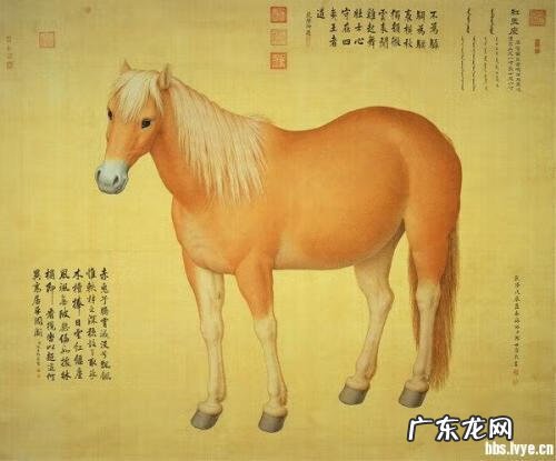 广西五马归槽风水留题 马山县风水留题