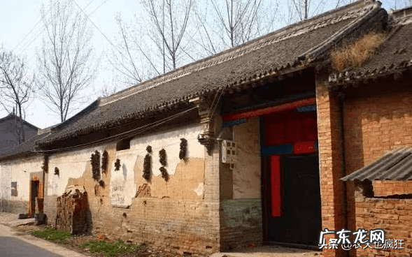 窗外有大树风水好不好 风水窗前有棵大树不好怎么办