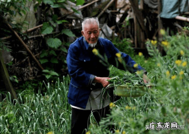 窗外有大树风水好不好 风水窗前有棵大树不好怎么办