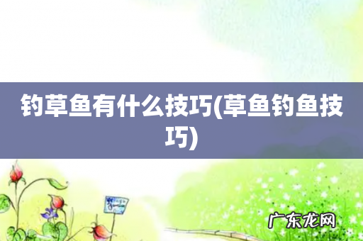 草鱼钓鱼技巧 钓草鱼有什么技巧