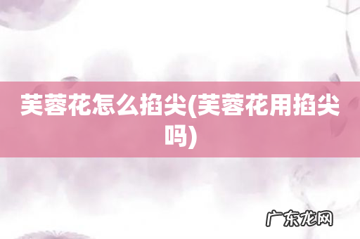 芙蓉花用掐尖吗 芙蓉花怎么掐尖