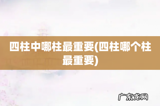四柱哪个柱最重要 四柱中哪柱最重要