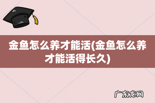 金鱼怎么养才能活得长久 金鱼怎么养才能活