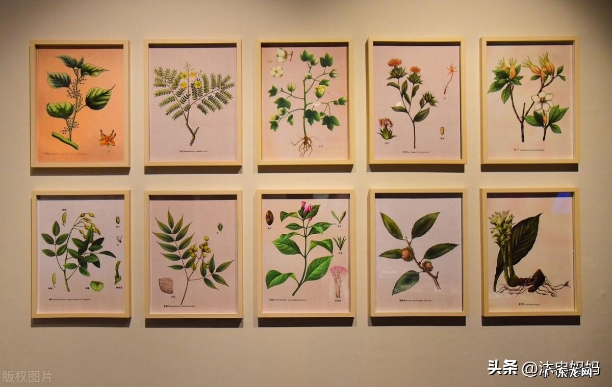 魔兽世界丝绸在哪刷 丝绸去哪里刷