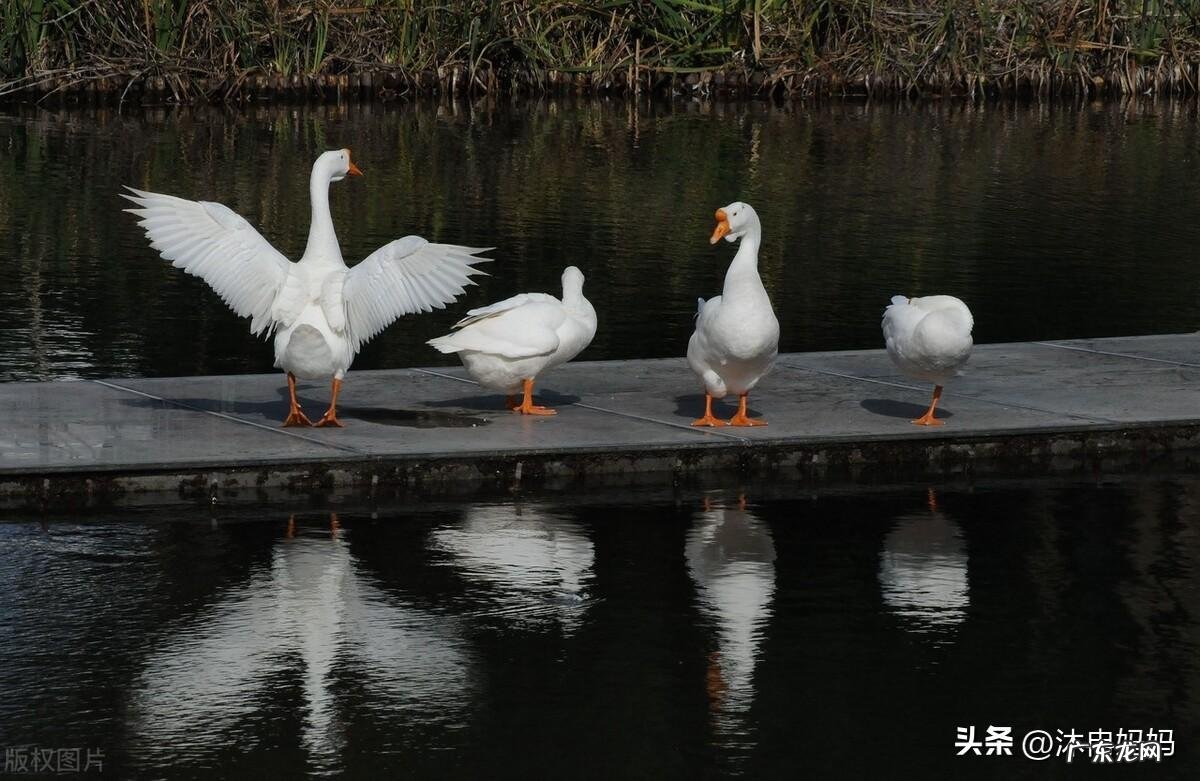 魔兽世界丝绸在哪刷 丝绸去哪里刷
