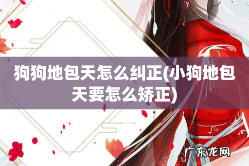小狗地包天要怎么矫正 狗狗地包天怎么纠正