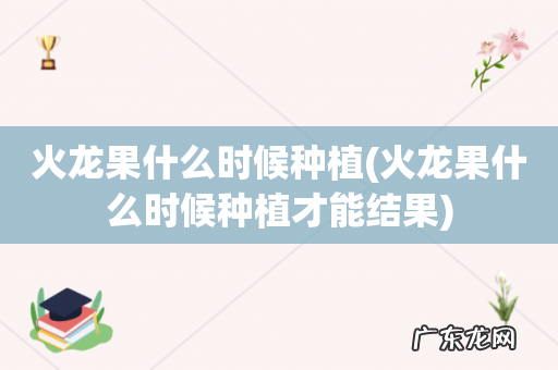 火龙果什么时候种植才能结果 火龙果什么时候种植