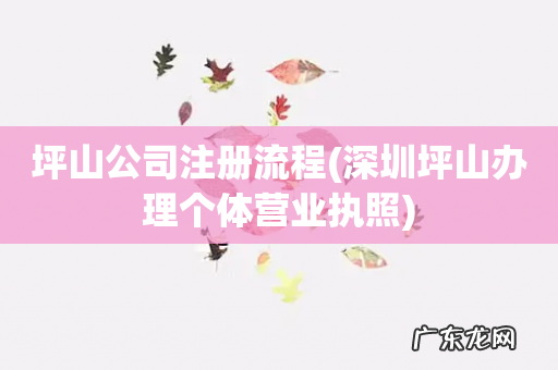 深圳坪山办理个体营业执照 坪山公司注册流程