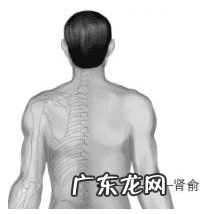 每天按摩哪里最壮阳 按摩壮阳吗