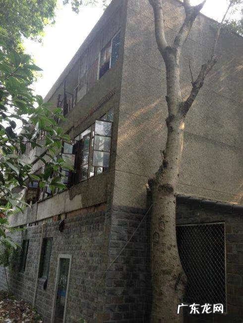 尖角煞用什么风水物件化解 化解尖角煞的风水危害