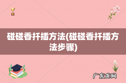 碰碰香扦插方法步骤 碰碰香扦插方法