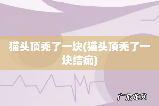 猫头顶秃了一块结痂 猫头顶秃了一块