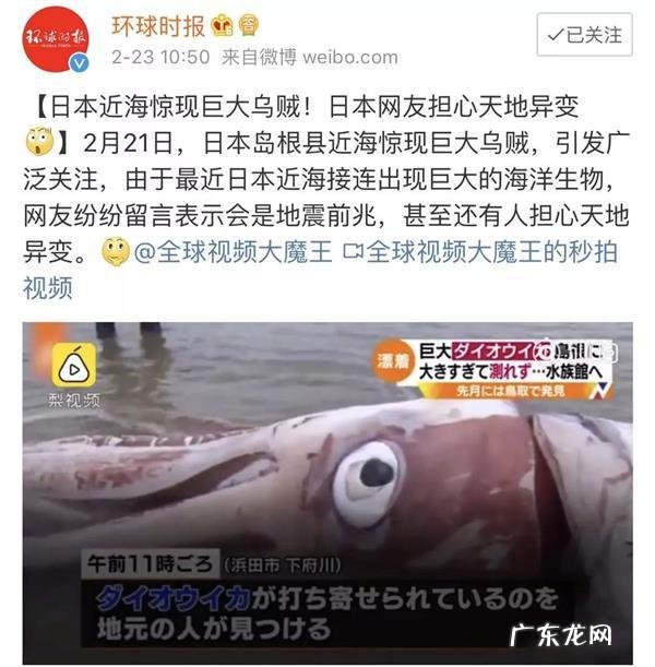 被触手怪入侵身体