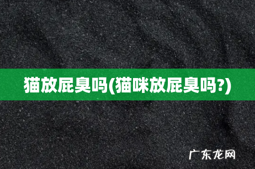 猫咪放屁臭吗? 猫放屁臭吗