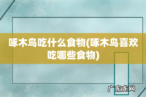 啄木鸟喜欢吃哪些食物 啄木鸟吃什么食物