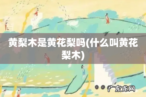 什么叫黄花梨木 黄梨木是黄花梨吗