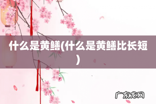 什么是黄鳝比长短 什么是黄鳝