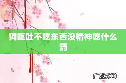 狗呕吐不吃东西没精神吃什么药