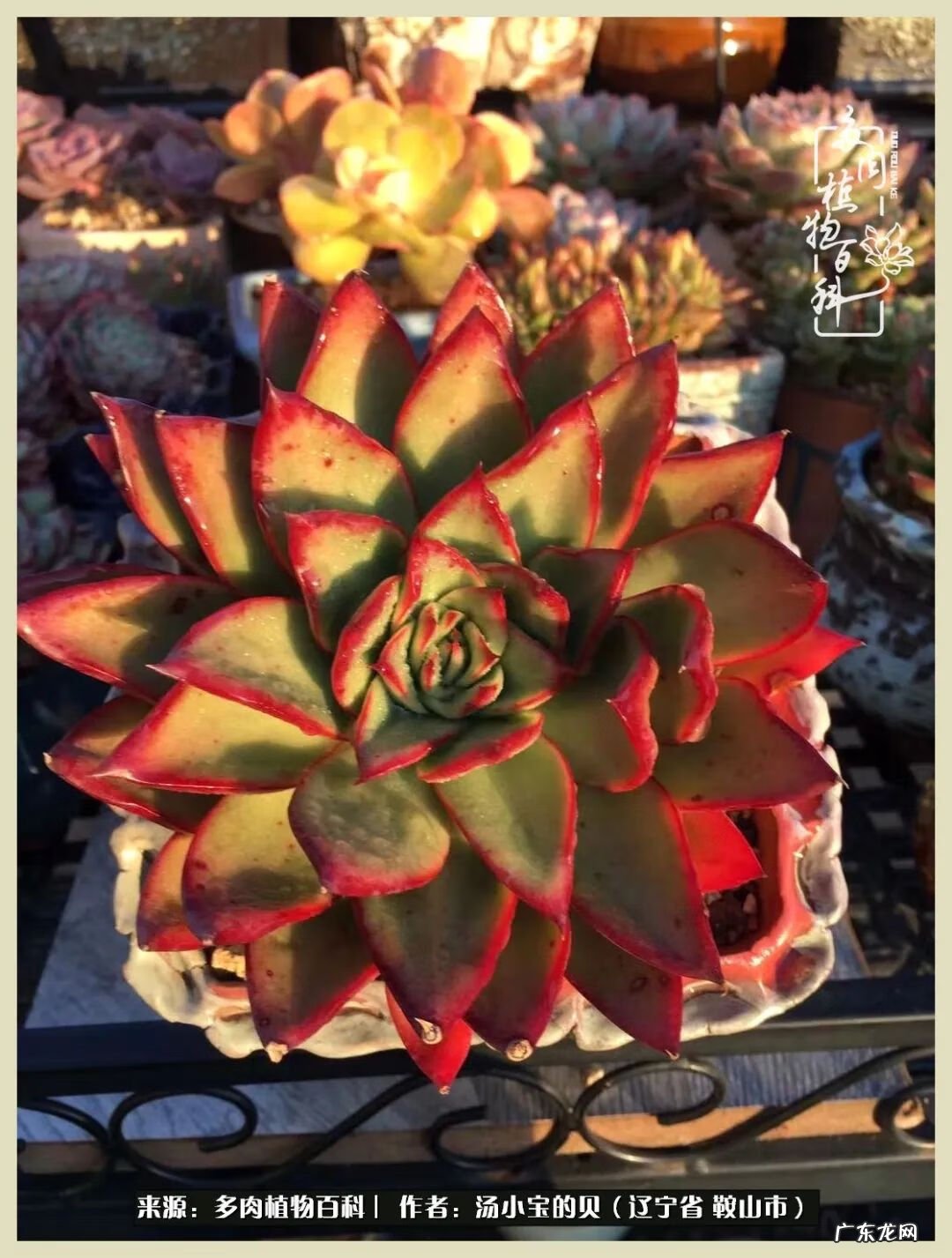 西北电梯风水讲解 东北楼梯风水