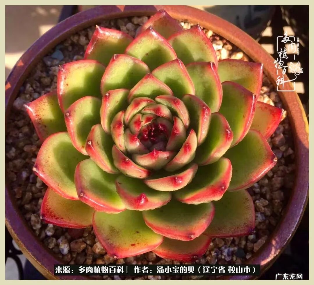 西北电梯风水讲解 东北楼梯风水