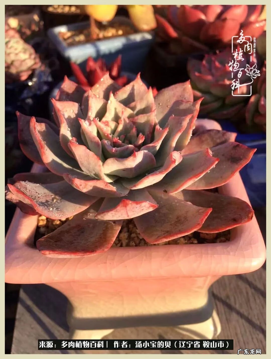 西北电梯风水讲解 东北楼梯风水