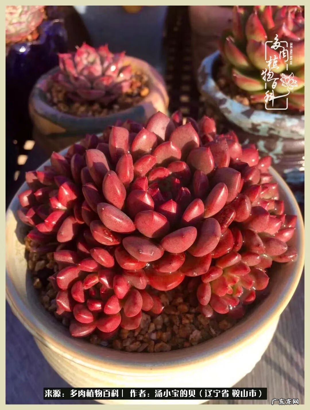 西北电梯风水讲解 东北楼梯风水