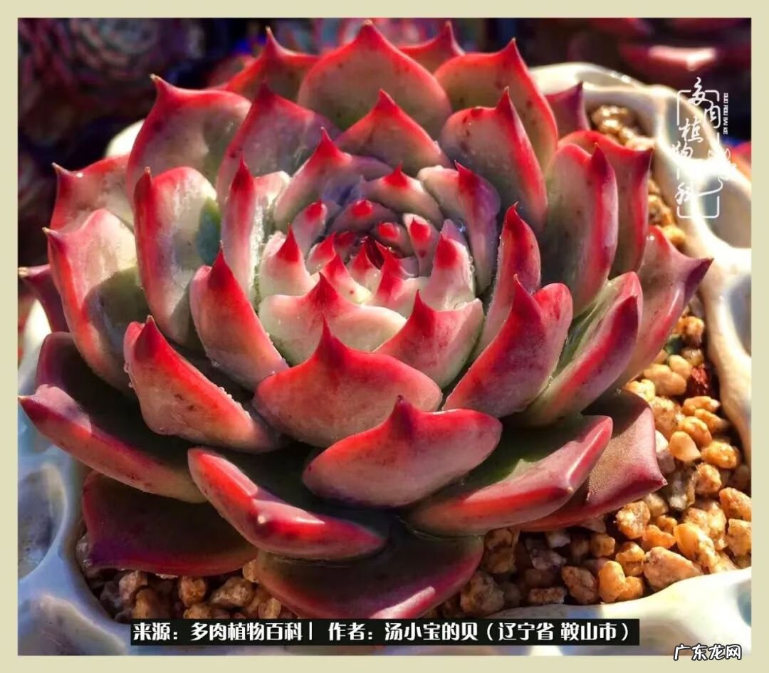 西北电梯风水讲解 东北楼梯风水