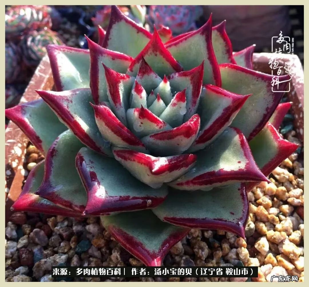 西北电梯风水讲解 东北楼梯风水