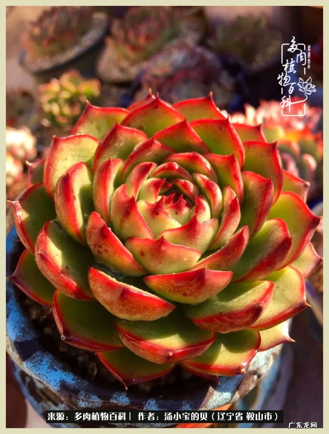 西北电梯风水讲解 东北楼梯风水