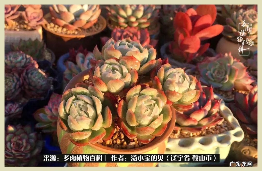 西北电梯风水讲解 东北楼梯风水