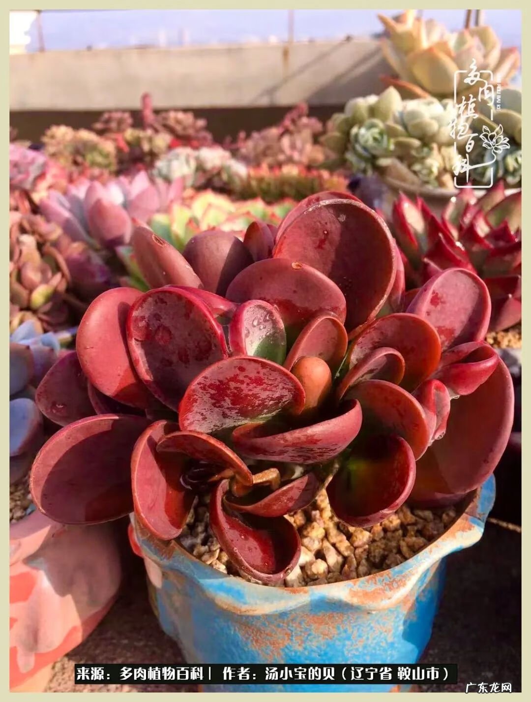 西北电梯风水讲解 东北楼梯风水