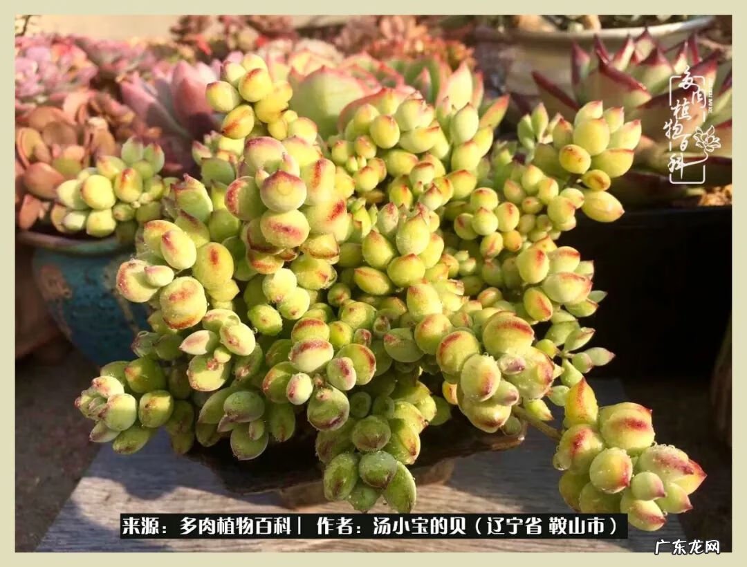 西北电梯风水讲解 东北楼梯风水