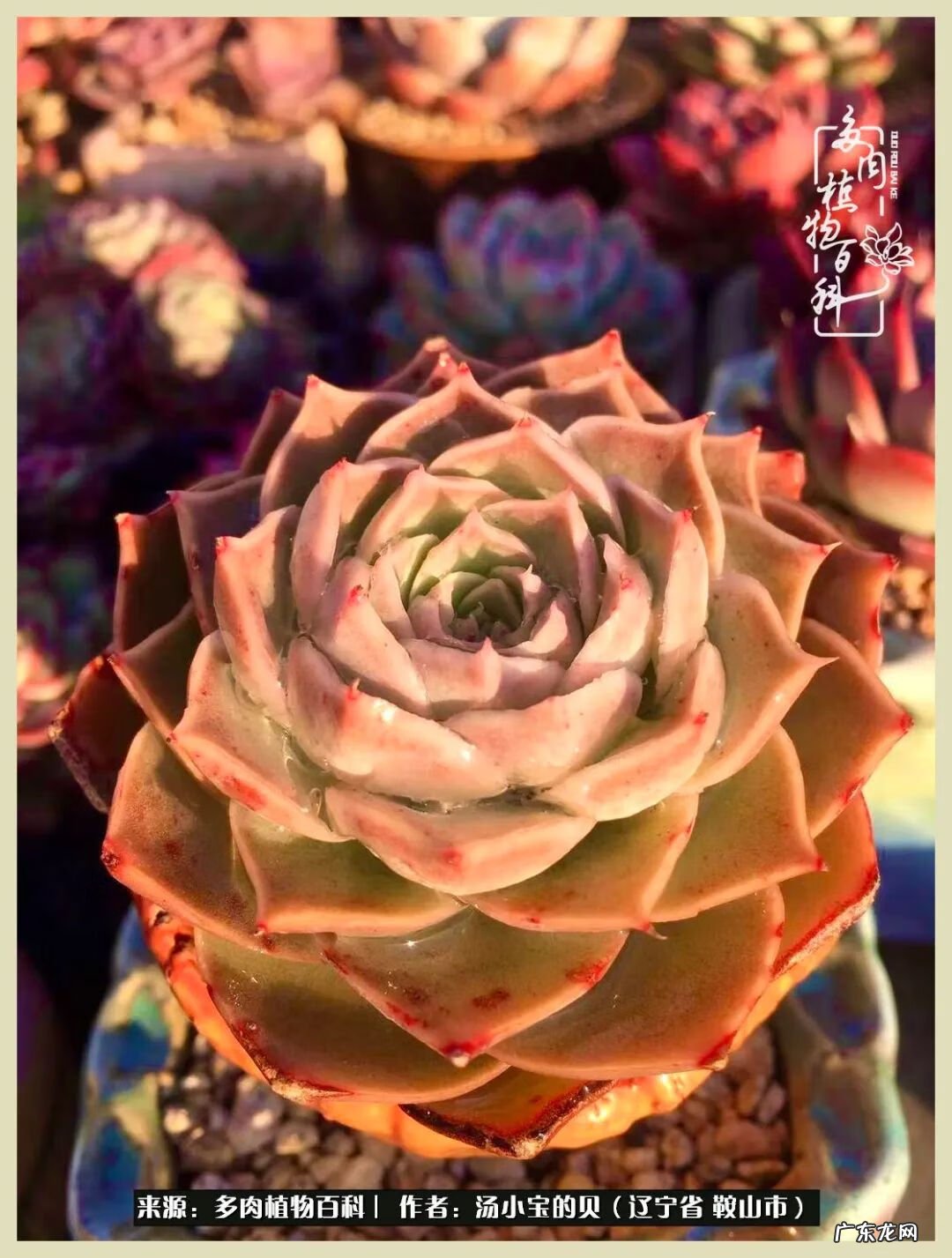 西北电梯风水讲解 东北楼梯风水