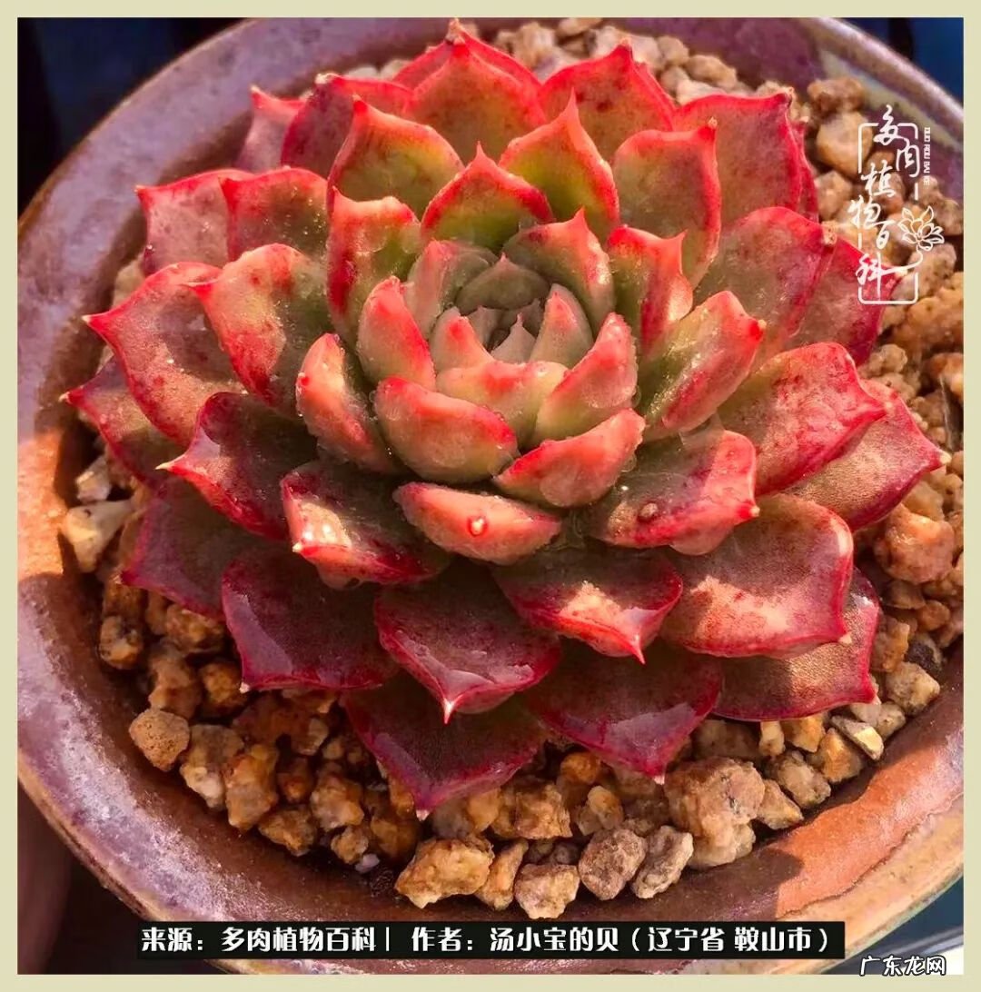 西北电梯风水讲解 东北楼梯风水