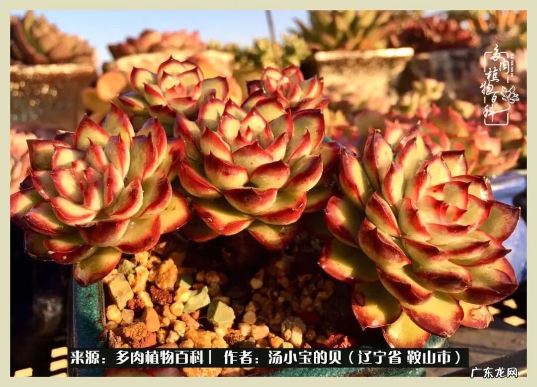 西北电梯风水讲解 东北楼梯风水